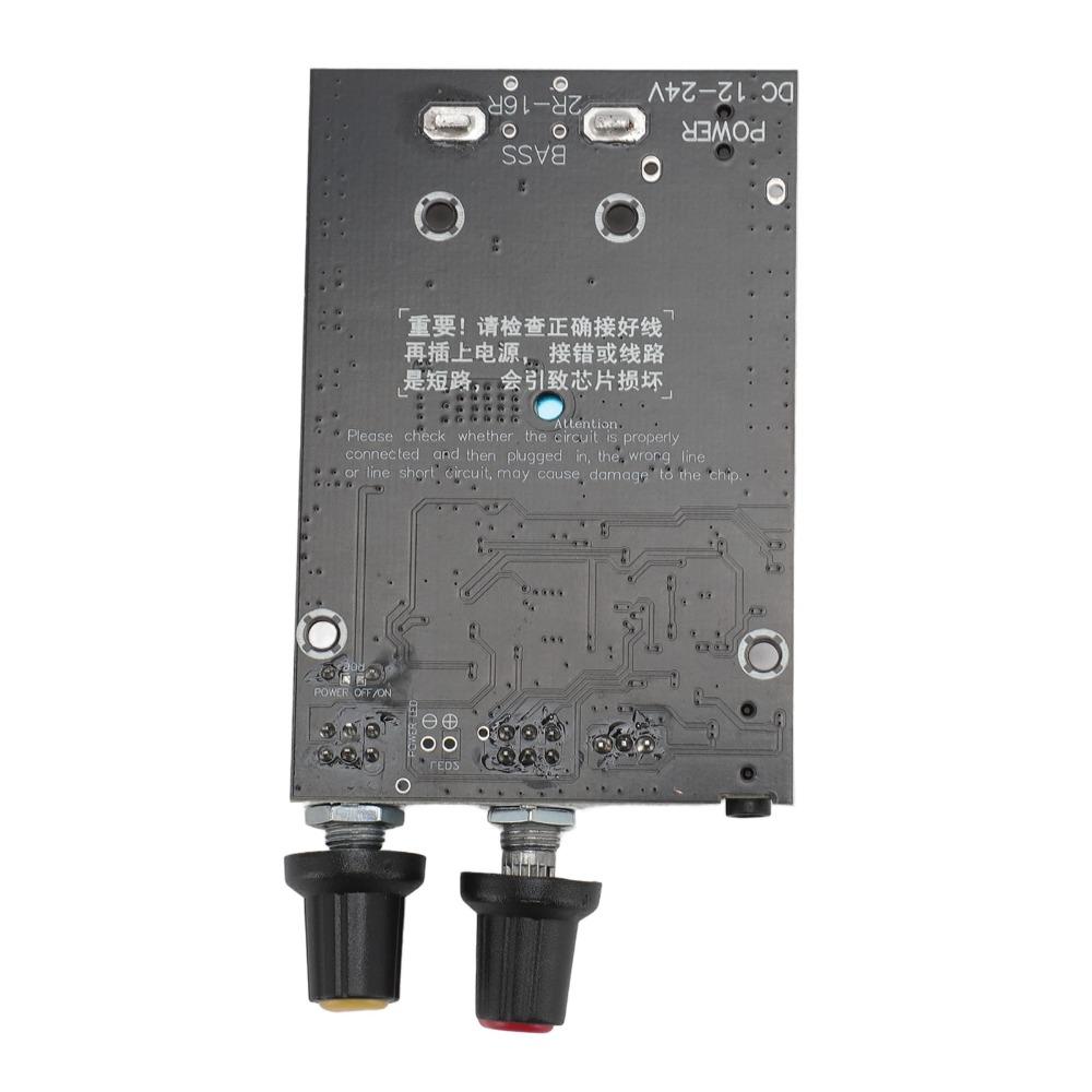 100W TPA3116 Subwoofer Amplifier Board 12-24V High Power Digital Amplifier  for DIY Speaker