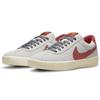 Nike Кроссовки унисекс Bruin React SB Photon Dust Canyon Rust Серые дымчато-серые CJ1661-003