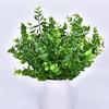 Листья эвкалипта шаровидного зеленое растение домашний офис сад искусственный цветок