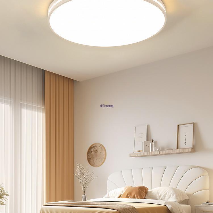 Modern Minimalist Ceiling Light for Bedroom, Living Room, Dining Room, or Balcony