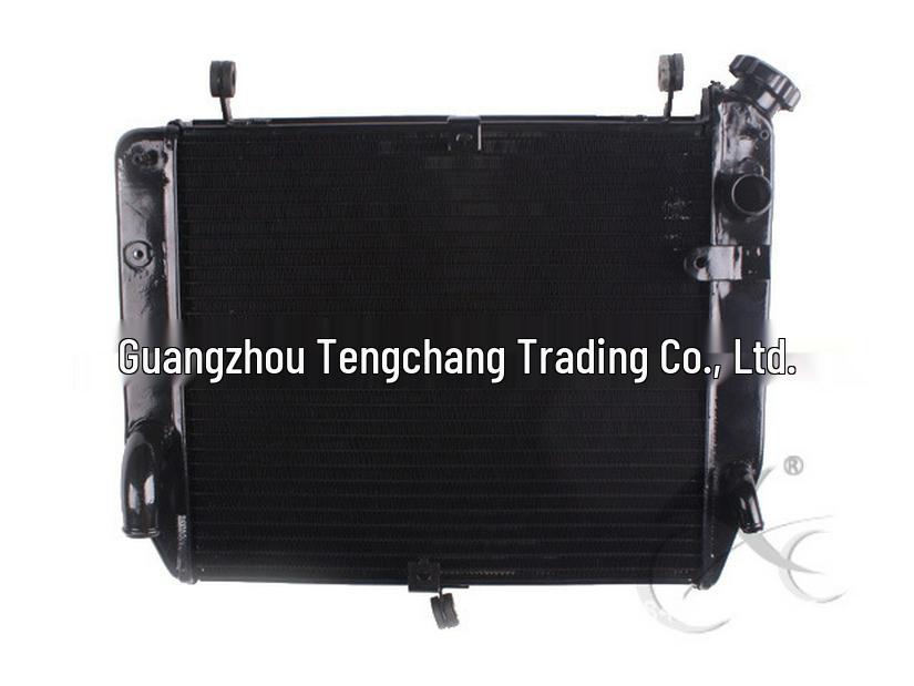 YZF1000 R1 2002-03 Сборка радиатора Водяной радиатор