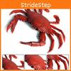 Crab Realistic Marine Animal Figurine Plastic Toy For Kids Educational Gifts