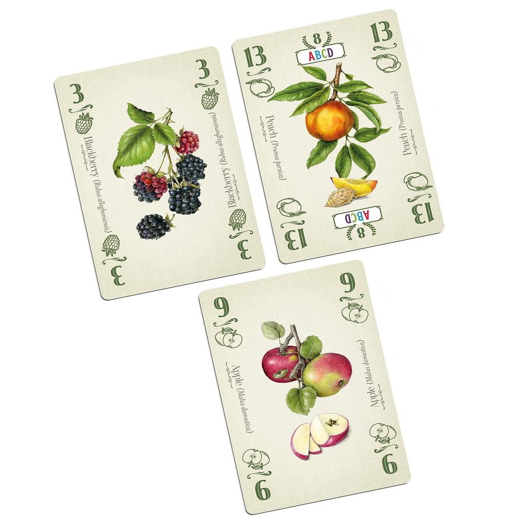 AllplayGames Board Game Pie [Multilingual Edition]