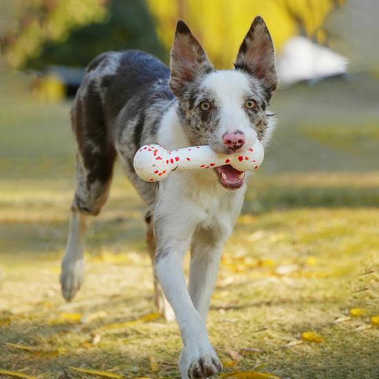 Interactive Pets Chew Toy Dumbbell Dog Toy Wear-resistant Rope Ball with Reflective Strips Dental Care Dog Toy