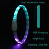 Dog Collar LED Light USB Discoloration Luminous Collar Perro Luz Led Dog Collar Flashing Rechargeable Glowing Collar For Dog Pet