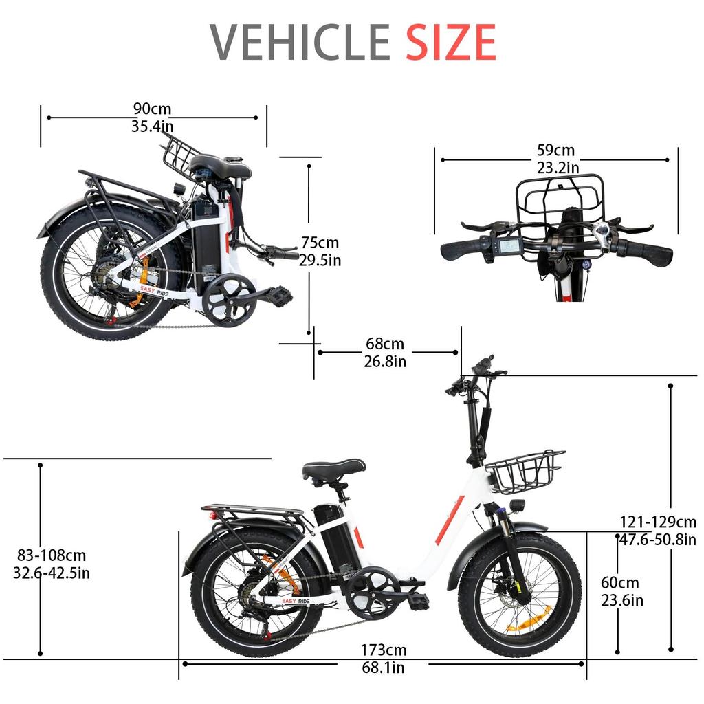 DZ2030 E-Bike 800W Motor 48V16AH Removable Battery Food Delivery Electric Bicycle 20*4.0 Fat Tire Adult Delivery Electric Bike