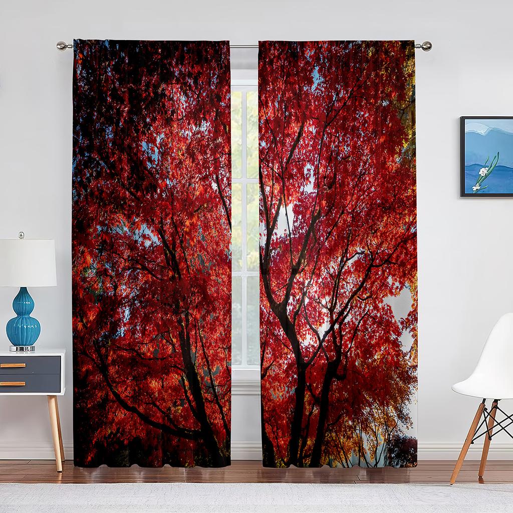 Fall Forest Tulle Curtains for Living Room Bedroom Decoration Autumn Trees Woodland Sunshine Nature Scenery Sheer Voile Curtain