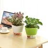 Flower Pot Multi-use Self Watering PP Partition Layer Detachable Planter Pot for Garden