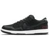 SB Dunk Low Wasted Youth DD8386-001