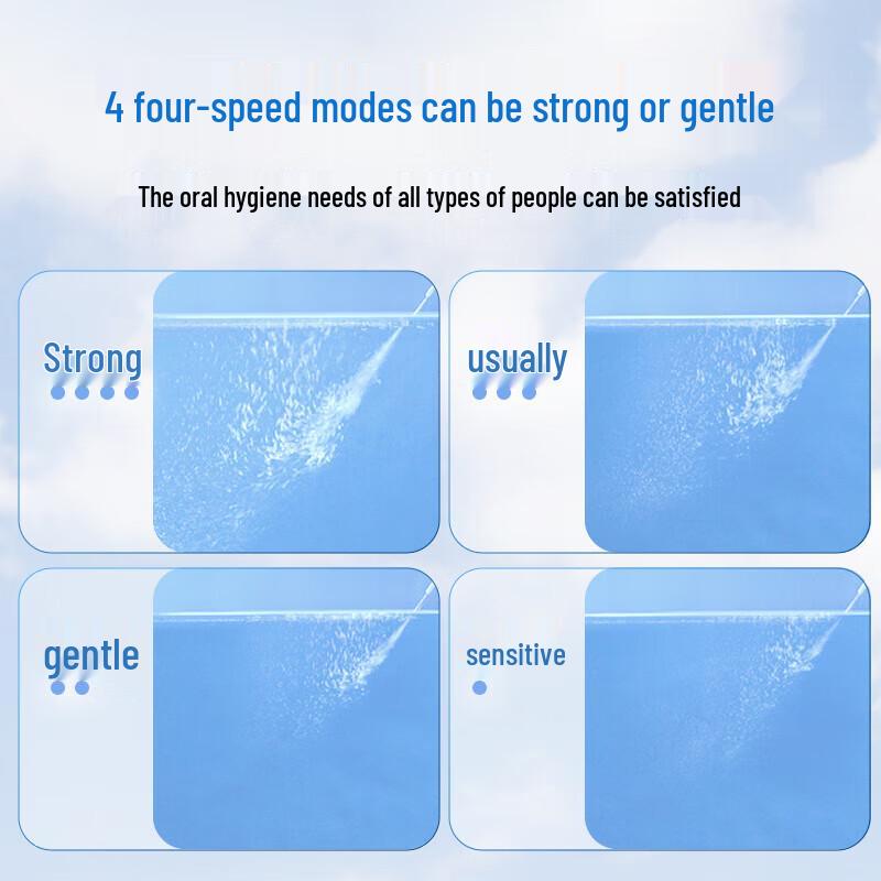 Panasonic Portable Water Flosser