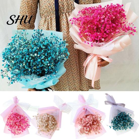 Вечный Цветок 1 Букет Гипсофила Романтичный Натуральный Сушеный Baby's Breath Цветочный Декор для Подарков
