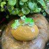 Miniature Frog Statue Garden Decoration Realistic Looking Weather-Resistant Outdoor Animal Frog Figurine Plant Ornament