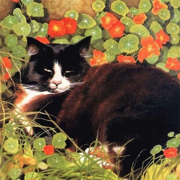 5d алмазная живопись кошка DIY мозаика цветок полная круглая/квадратная Алмазная вышивка животное ремесленный декор для дома