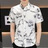 Summer Short-sleeved Shirt Men's Slim Senior Sense of Business Non-iron Striped Short-sleeved Shirt Hairstylist Tide Men's Clothing