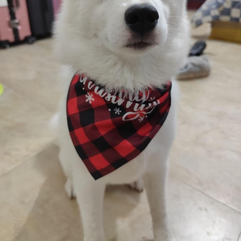 Клетчатое полотенце для слюны питомца Санта Снеговик Кошка Собака Шарф Рождество Питомец Треугольный шарф
