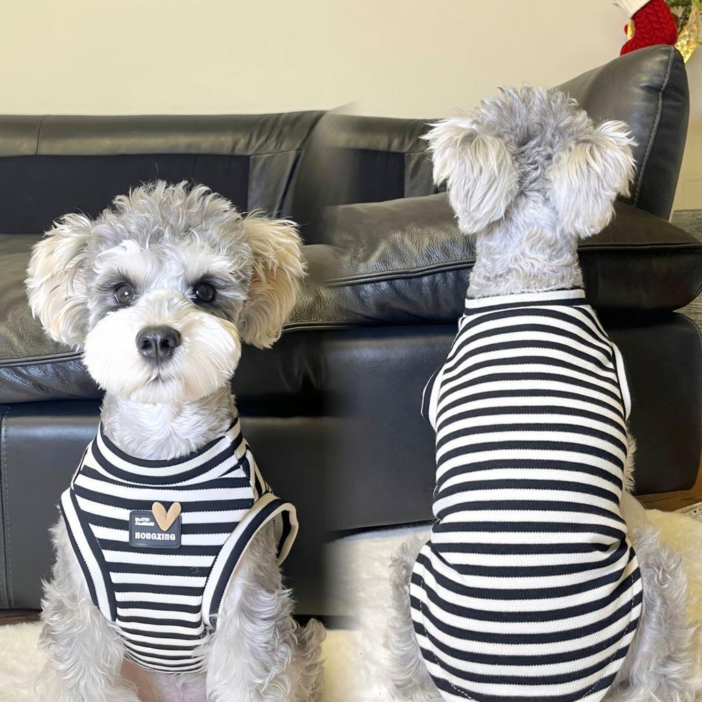 Pet clothes puppy dog summer vest thin homewear ins striped Yorkshire teddy cuter than bear