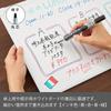 Pentel Whiteboard Marker Round Fine 10 pens Knockle, Tip, Point, EMWLS-A, Black,