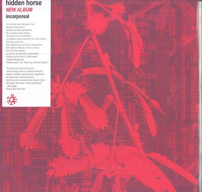 Виниловая пластинка HIDDEN HORSE - Incorporeal ZAM035 Holuzam 2023 Польша Танцевальная и Электронная музыка