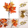 Maple Leaves Branch Home Décor Practical Brand New