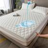 Super Waterproof Bed Fitted Sheet Thicken Mattress Cover Anti-slip Bedspread Quilted Bed Cover Mattress Protector For Home(No Pillowcase)