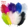 10pcs Feathers Ostrich 15-20cm Royal Blue Black White Pink Trim For Sewing Clothes Fabric Outfit Plumas Crafts Mixed Colors Hat