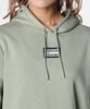 Худи оверсайз из флиса UA RIVAL Grove Green MD [Under Armour]