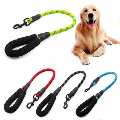 Собаки – Ошейники и поводки для собак