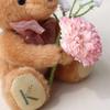 [Petit Luu] Choose Your Initial Plush Toy Gift Set, Initial tete Chocolat Flower Gift D