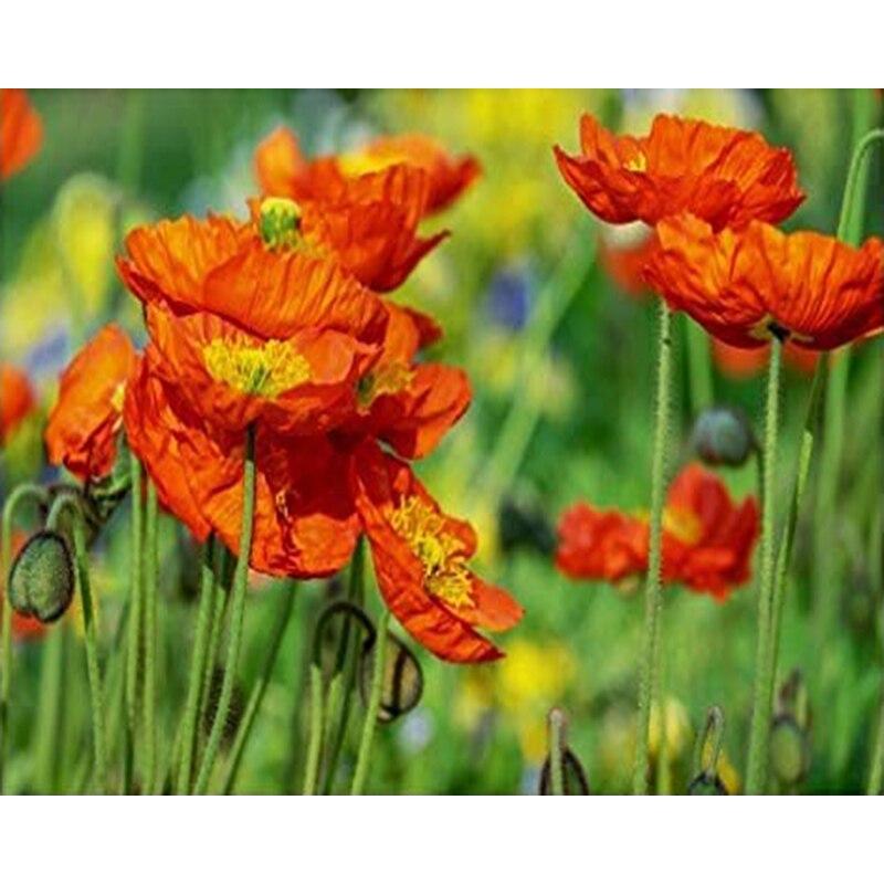 Алмазная картина, полная дрель, круглые красные цветы для взрослых, детей, алмазная художественная вышивка, украшение дома