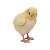 Ubia Right Facing Chick X X Cm Doll Figure Ornament Animal Garden Decoration Bird H15314 7.5 7.5 9.8