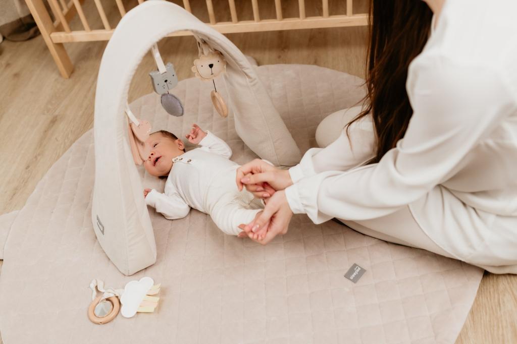 Adjustable Toy Arch With Sounds Grey