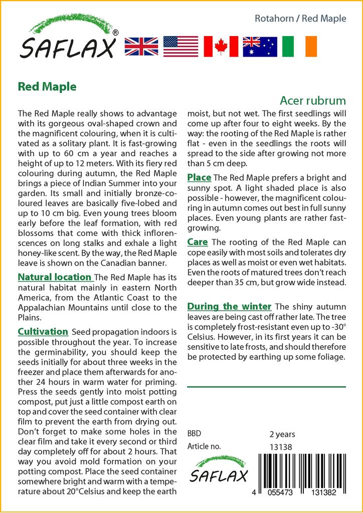 SAFLAX Клен красный - 20 семян - Acer Rubrum
