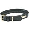 Padded Leather Dog Collar