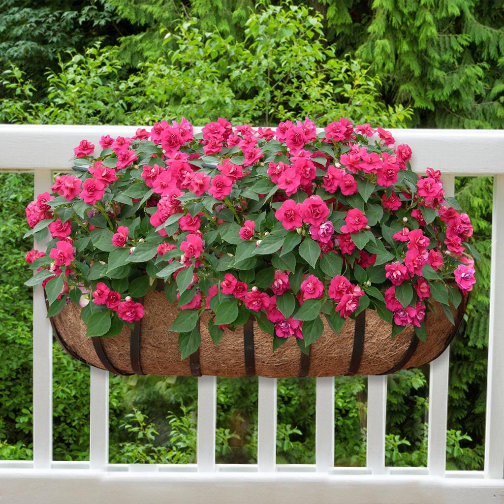 2 упаковки желобчатых подкладок из какао, натуральная кокосовая койра, вазоны для настенных корзин, вкладыши для оконных рам, корзины для садовых цветочных горшков, корзины для цветочных горшков для забора