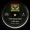 10inch Record ZIGGY ANDERSON - Wait And See; Wait (Dub) / Do Right ZA001 La Records 2007 UK Reggae, Ska & Dub