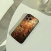 Натуральная текстура ржавчины Чехол для телефона Для iPhone 17,16,15,14,13,12,11 Pro Max,16Plus,XS Легкий и практичный Мягкий Черный Чехол