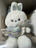 NEW JEANS Harin Talking Plush Bunini Used