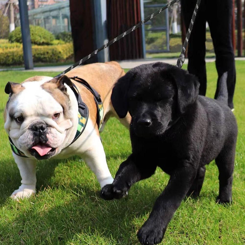Reflective Dual Dog Leash Durable Double Lead Pet Leash for Small Medium Large Dogs
