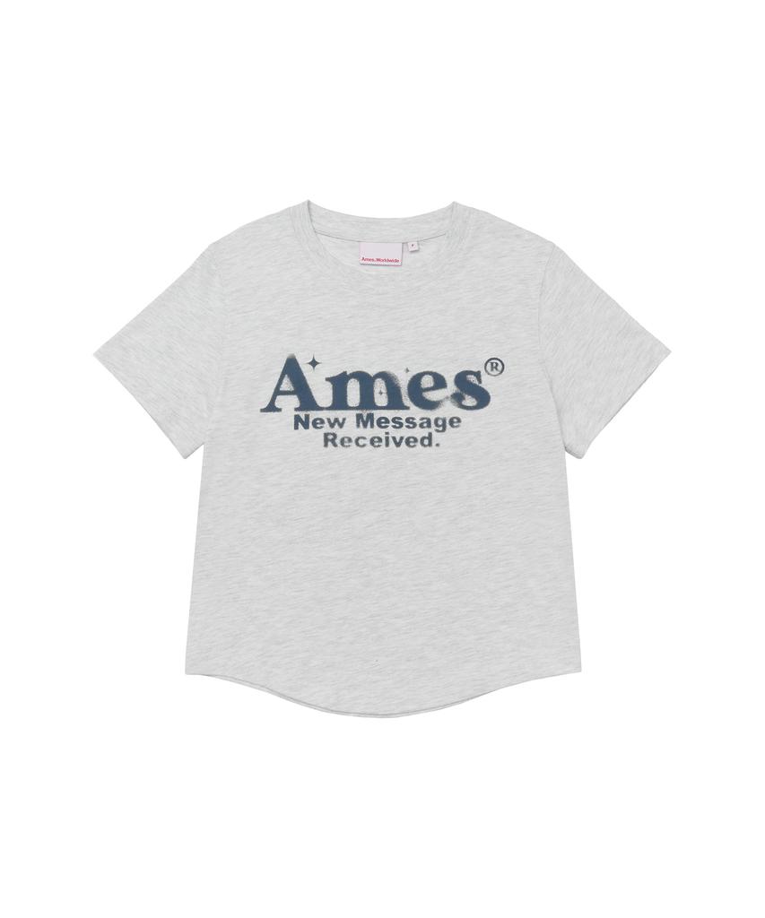AMES-WORLDWIDE Укороченная футболка с округлым низом Светло-серая