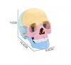 Assembled 4D human skull model, detachable specimen skull model