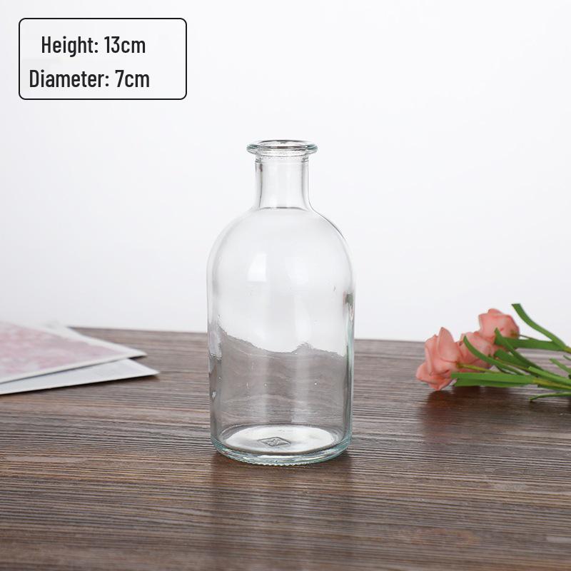 Small French Retro Glass Hydroponic Vase for Home Decor