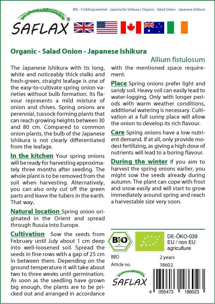 SAFLAX Gift Set - Organic - Salad Onion - Japanese Ishikura - 150 Seeds - With Gift Box, Card, Label and Potting Substrate - Allium Fistulosum