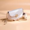 Cloud Bag 2024 Spring/Summer New Style Bag, High-end Fashionable Chain Bag, Soft Leather Crossbody Bag, Women's Small Shoulder Bag