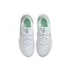 Nike Legend Essential 2 White Mint Foam Женские кроссовки Черный металлик-Серебристый CQ9545-102