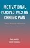 Книга Motivational Perspectives On Chronic Pain