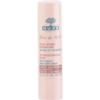 Soin Des Lèvres - Nuxe - REVE DE MIEL - Stick Hydratant - 4 Gr - Application Facile