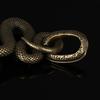 1Pc Brass Snake Key Ring Boa Key Chain Outdoor Small Accessories Car Hanging