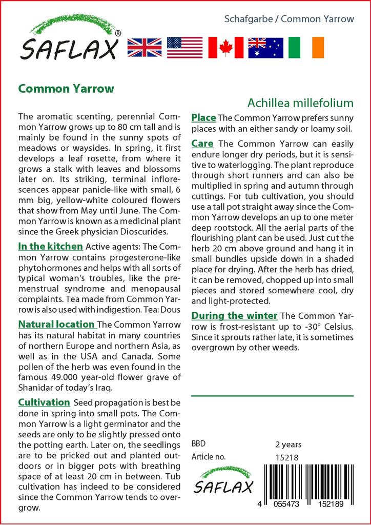 SAFLAX Garden in the Bag - Тысячелистник обыкновенный - 200 семян - С субстратом в подходящем пакете - Achillea millefolium