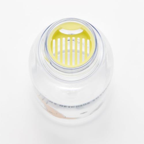 Skater Direct Drinking Water Bottle, 500ml, My Neighbor Totoro Marching, Studio Ghibli Design, with Tea Strainer, PTY5-A