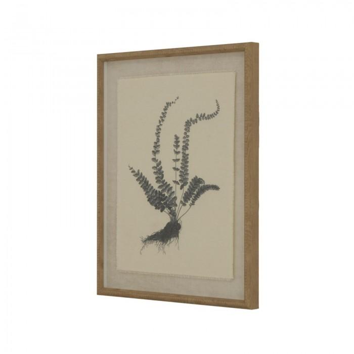 Hill Interiors Flora & Fauna Collection Spleenwort Beaded Linen Framed Wall Art